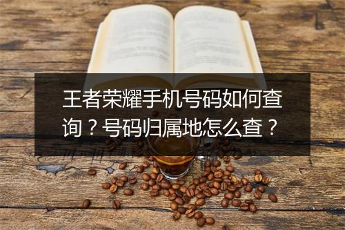 王者荣耀手机号码如何查询？号码归属地怎么查？
