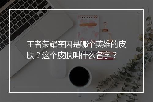王者荣耀奎因是哪个英雄的皮肤？这个皮肤叫什么名字？