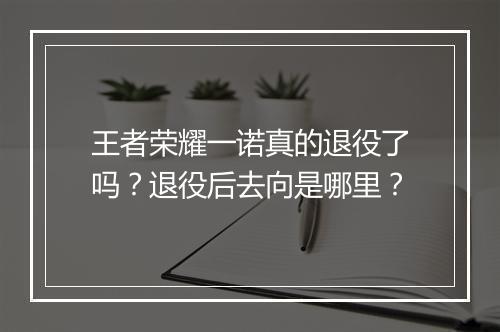 王者荣耀一诺真的退役了吗？退役后去向是哪里？