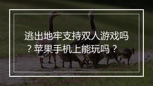 逃出地牢支持双人游戏吗？苹果手机上能玩吗？
