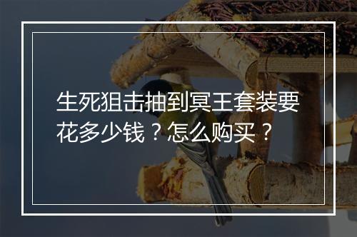 生死狙击抽到冥王套装要花多少钱？怎么购买？