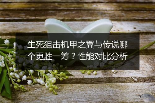 生死狙击机甲之翼与传说哪个更胜一筹？性能对比分析