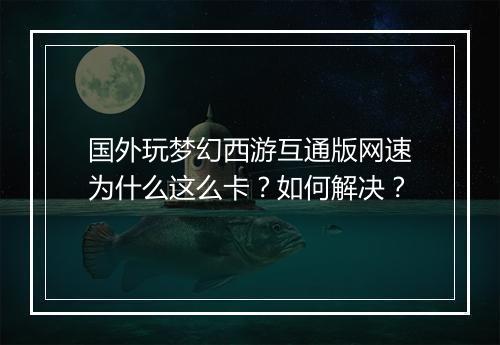 国外玩梦幻西游互通版网速为什么这么卡？如何解决？