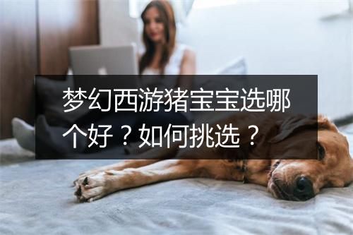 梦幻西游猪宝宝选哪个好？如何挑选？