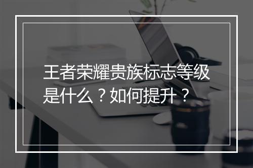 王者荣耀贵族标志等级是什么？如何提升？
