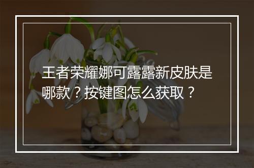 王者荣耀娜可露露新皮肤是哪款？按键图怎么获取？