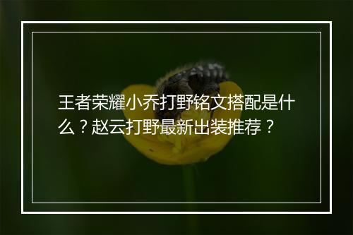 王者荣耀小乔打野铭文搭配是什么？赵云打野最新出装推荐？