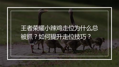 王者荣耀小辣鸡走位为什么总被抓？如何提升走位技巧？