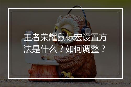 王者荣耀鼠标宏设置方法是什么？如何调整？