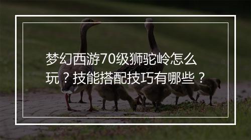 梦幻西游70级狮驼岭怎么玩？技能搭配技巧有哪些？