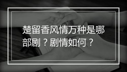 楚留香风情万种是哪部剧？剧情如何？