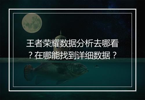王者荣耀数据分析去哪看？在哪能找到详细数据？