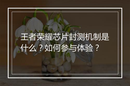 王者荣耀芯片封测机制是什么？如何参与体验？