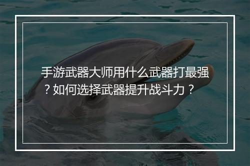 手游武器大师用什么武器打最强？如何选择武器提升战斗力？