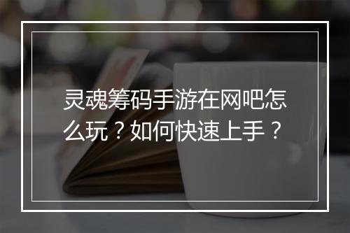 灵魂筹码手游在网吧怎么玩？如何快速上手？