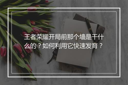 王者荣耀开局前那个墙是干什么的？如何利用它快速发育？