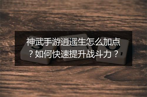 神武手游逍遥生怎么加点？如何快速提升战斗力？