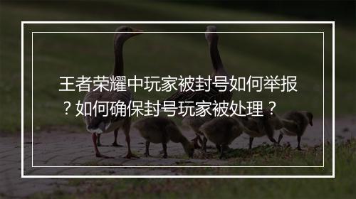 王者荣耀中玩家被封号如何举报？如何确保封号玩家被处理？