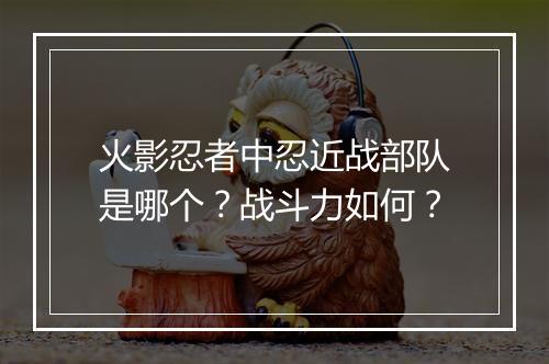 火影忍者中忍近战部队是哪个？战斗力如何？