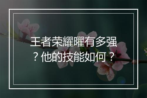王者荣耀曜有多强？他的技能如何？