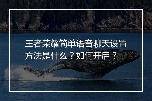 王者荣耀简单语音聊天设置方法是什么？如何开启？