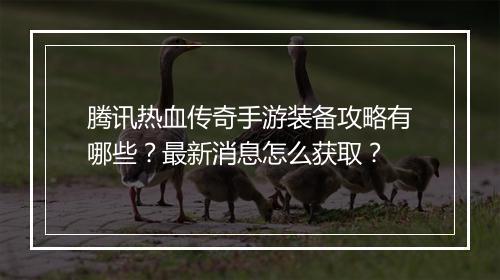 腾讯热血传奇手游装备攻略有哪些？最新消息怎么获取？