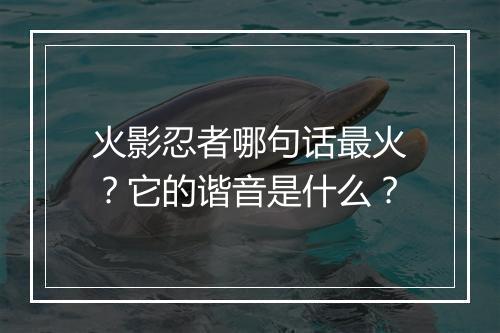 火影忍者哪句话最火？它的谐音是什么？