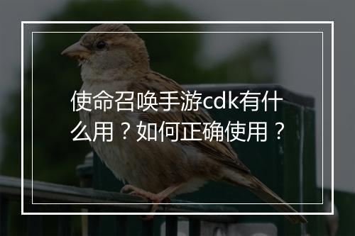 使命召唤手游cdk有什么用？如何正确使用？