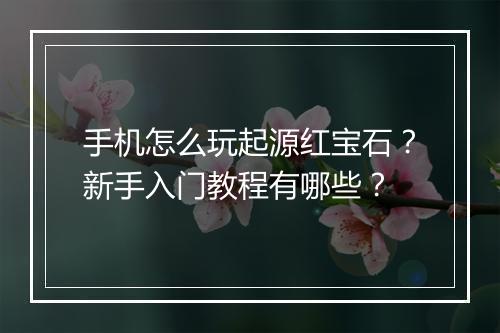 手机怎么玩起源红宝石？新手入门教程有哪些？