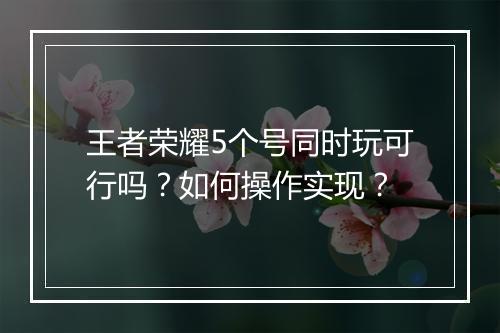 王者荣耀5个号同时玩可行吗？如何操作实现？