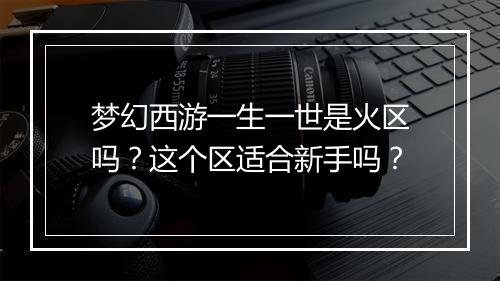 梦幻西游一生一世是火区吗?这个区适合新手吗?