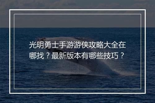 光明勇士手游游侠攻略大全在哪找？最新版本有哪些技巧？