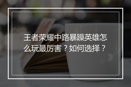 王者荣耀中路暴躁英雄怎么玩最厉害？如何选择？
