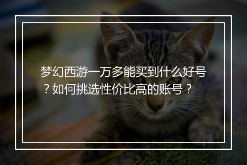梦幻西游一万多能买到什么好号？如何挑选性价比高的账号？