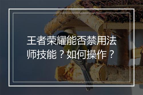 王者荣耀能否禁用法师技能？如何操作？