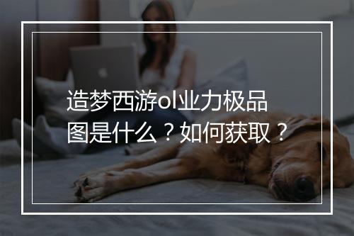 造梦西游ol业力极品图是什么？如何获取？