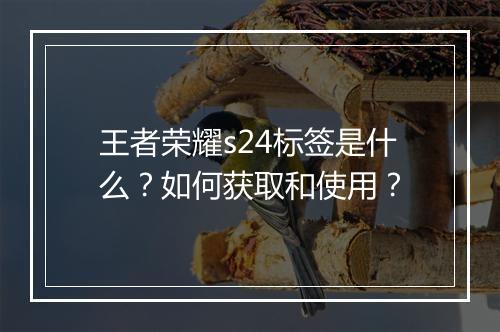 王者荣耀s24标签是什么？如何获取和使用？