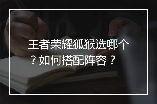 王者荣耀狐猴选哪个？如何搭配阵容？