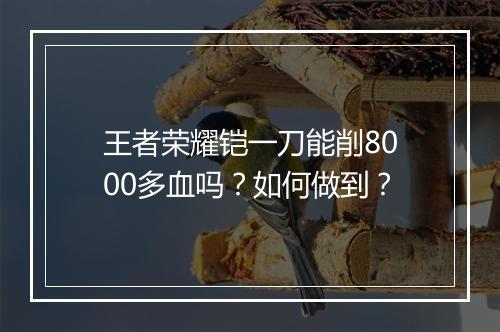 王者荣耀铠一刀能削8000多血吗？如何做到？