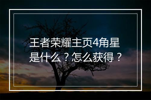 王者荣耀主页4角星是什么?怎么获得?