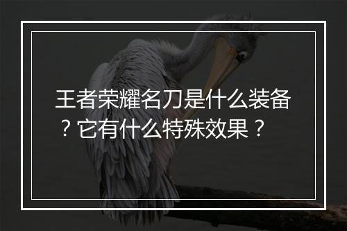 王者荣耀名刀是什么装备？它有什么特殊效果？