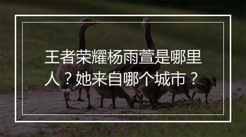 王者荣耀杨雨萱是哪里人？她来自哪个城市？
