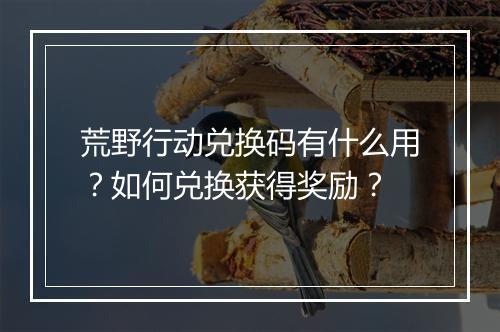 荒野行动兑换码有什么用？如何兑换获得奖励？