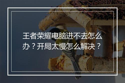 王者荣耀电脑进不去怎么办？开局太慢怎么解决？