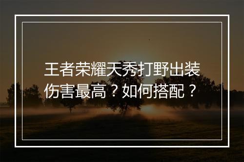 王者荣耀天秀打野出装伤害最高？如何搭配？
