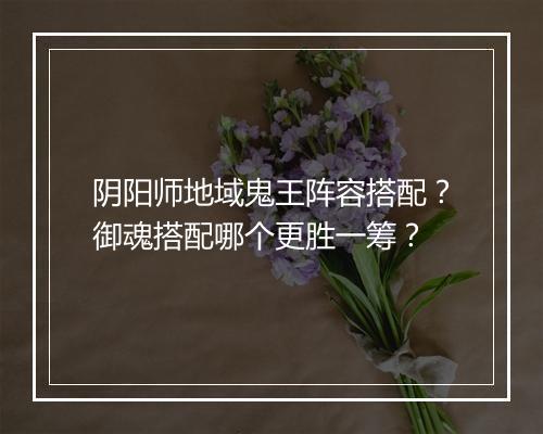 阴阳师地域鬼王阵容搭配？御魂搭配哪个更胜一筹？