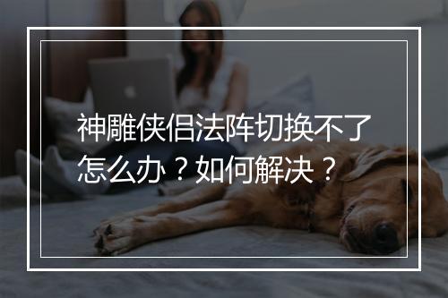 神雕侠侣法阵切换不了怎么办？如何解决？