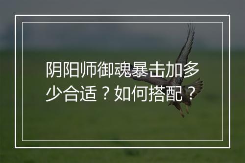 阴阳师御魂暴击加多少合适？如何搭配？