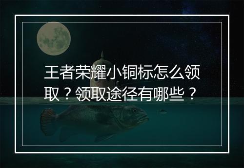 王者荣耀小铜标怎么领取？领取途径有哪些？
