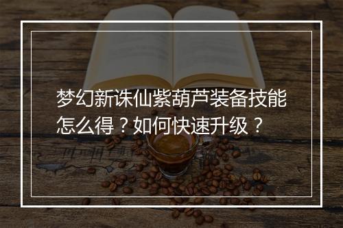 梦幻新诛仙紫葫芦装备技能怎么得？如何快速升级？